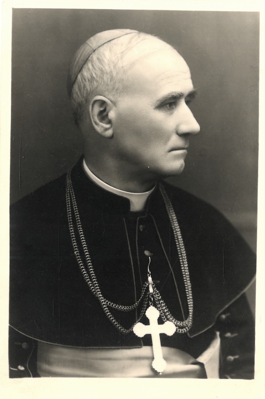 582116585 1689661162354232 9015504789978350557 n