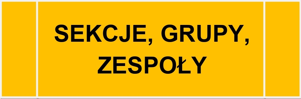  Sekcje, grupy, zespoły